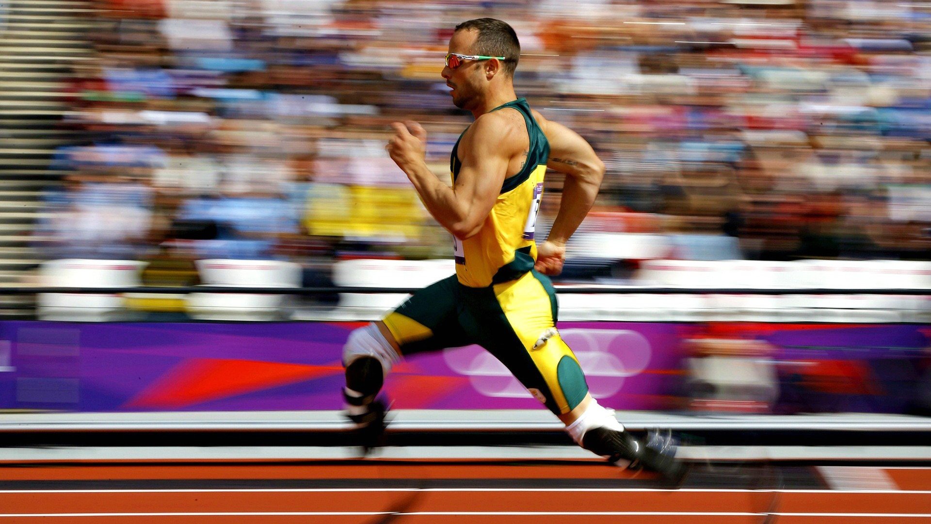 全国自行车节能骑游，绿色环保新潮流，骑自行车节能减排